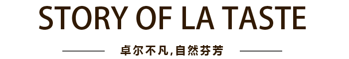 hanan09 CC国际·(集团)官方网站